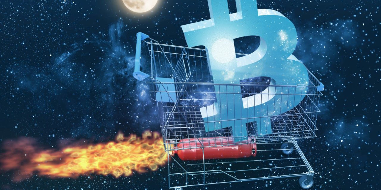 Kaufpanik treibt Bitcoin auf 18.500 US-Dollar – wohin geht die Reise?