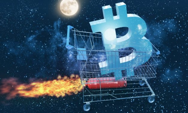 Kaufpanik treibt Bitcoin auf 18.500 US-Dollar – wohin geht die Reise?