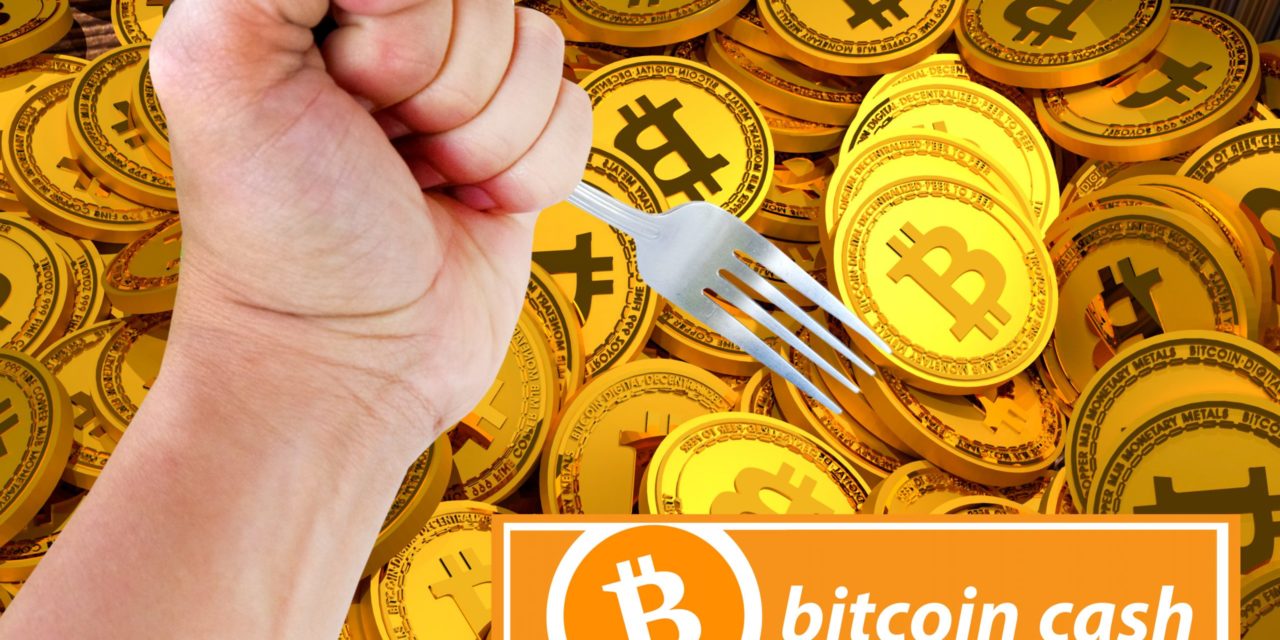 Bitcoin Cash (BCHA) kämpft ums Überleben