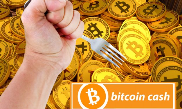 Bitcoin Cash (BCHA) kämpft ums Überleben