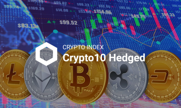Crypto10 Hedged: Erfolgreich auf den Wellen des Krypto-Marktes surfen