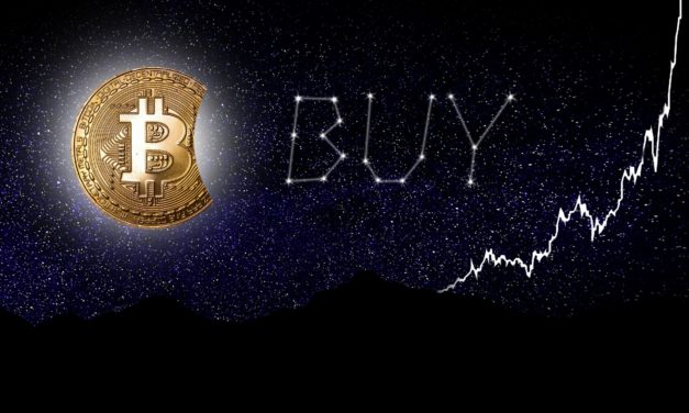 Bitcoin-Kurs bei 500.000 US-Dollar? Tyler Winklevoss rät zum Kauf