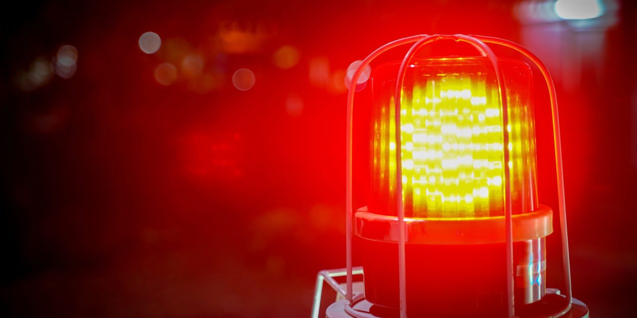 Whale Alert schlägt Alarm – explodiert jetzt der Bitcoin-Kurs?