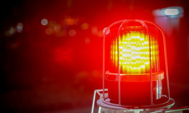 Whale Alert schlägt Alarm – explodiert jetzt der Bitcoin-Kurs?