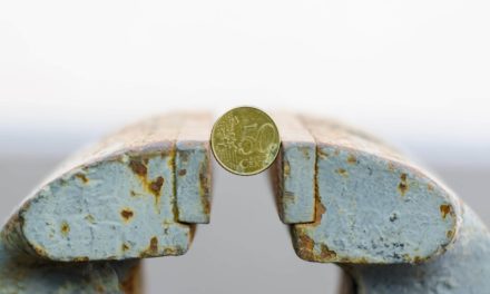 Regulierungs-ECHO: Der digitale Euro im Schraubstock der Großmächte