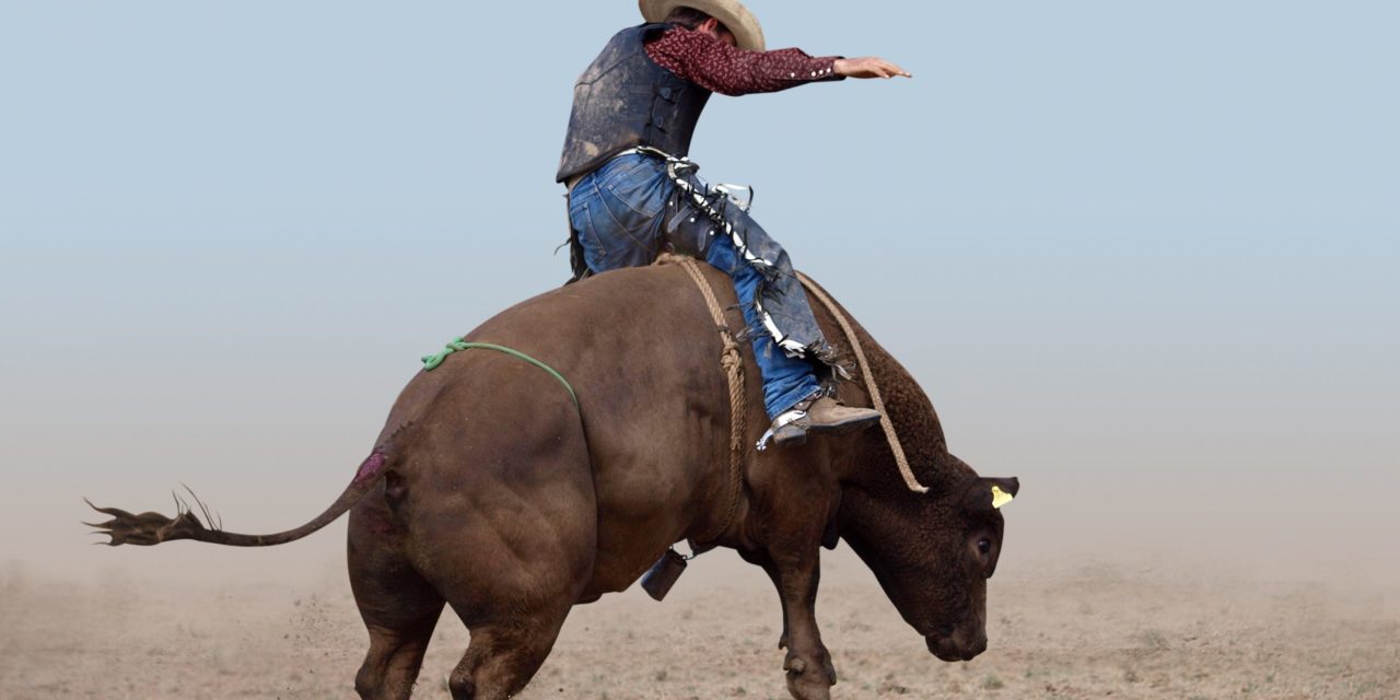 Bitcoin (BTC) sitzt nach Bären-Tête-à-Tête wieder im Bullensattel