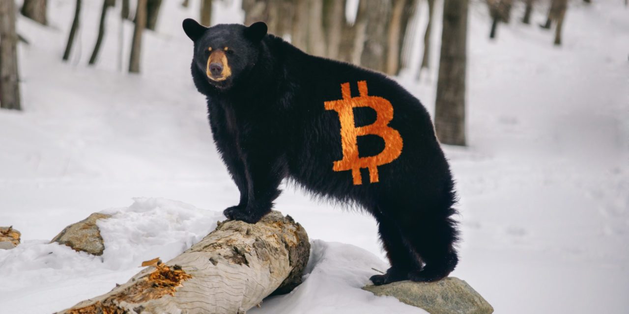 Studie: Bitcoin-Investoren bearisher als gedacht