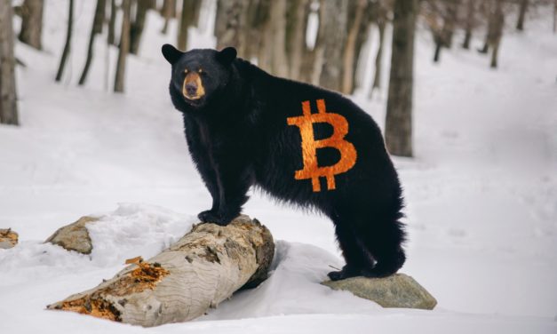 Studie: Bitcoin-Investoren bearisher als gedacht