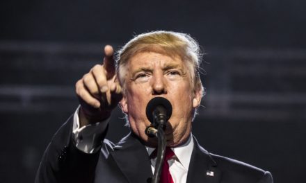 Trump erwägt offenbar Begnadigung von Silk-Road-Gründer Ross Ulbricht