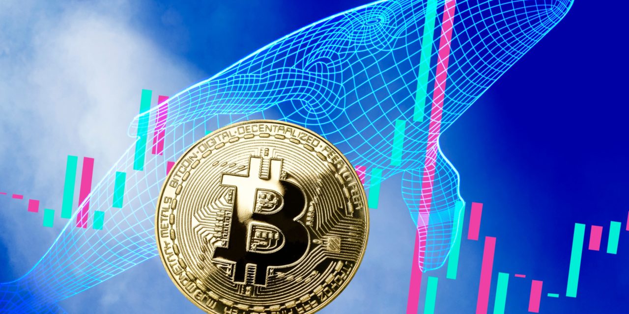 One River Digital: Krypto-Investments 2021 bei einer Milliarde US-Dollar