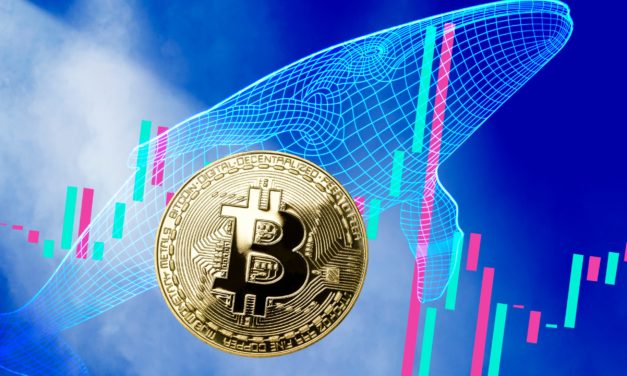 One River Digital: Krypto-Investments 2021 bei einer Milliarde US-Dollar