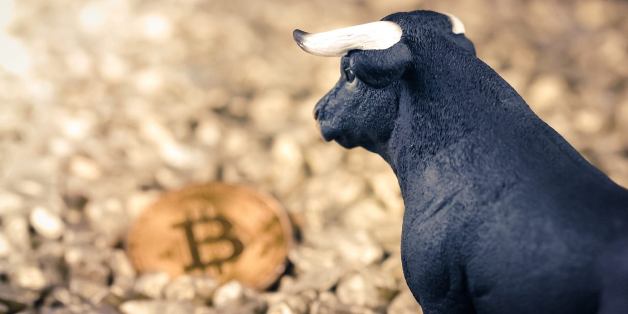 Bitcoin Bull Run nach Plan B