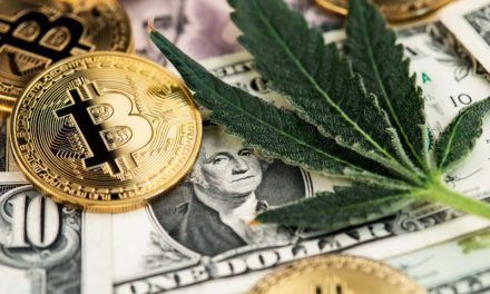 Neuer Krypto-Dealer: FTX-Börse tickt jetzt mit Cannabis-Token