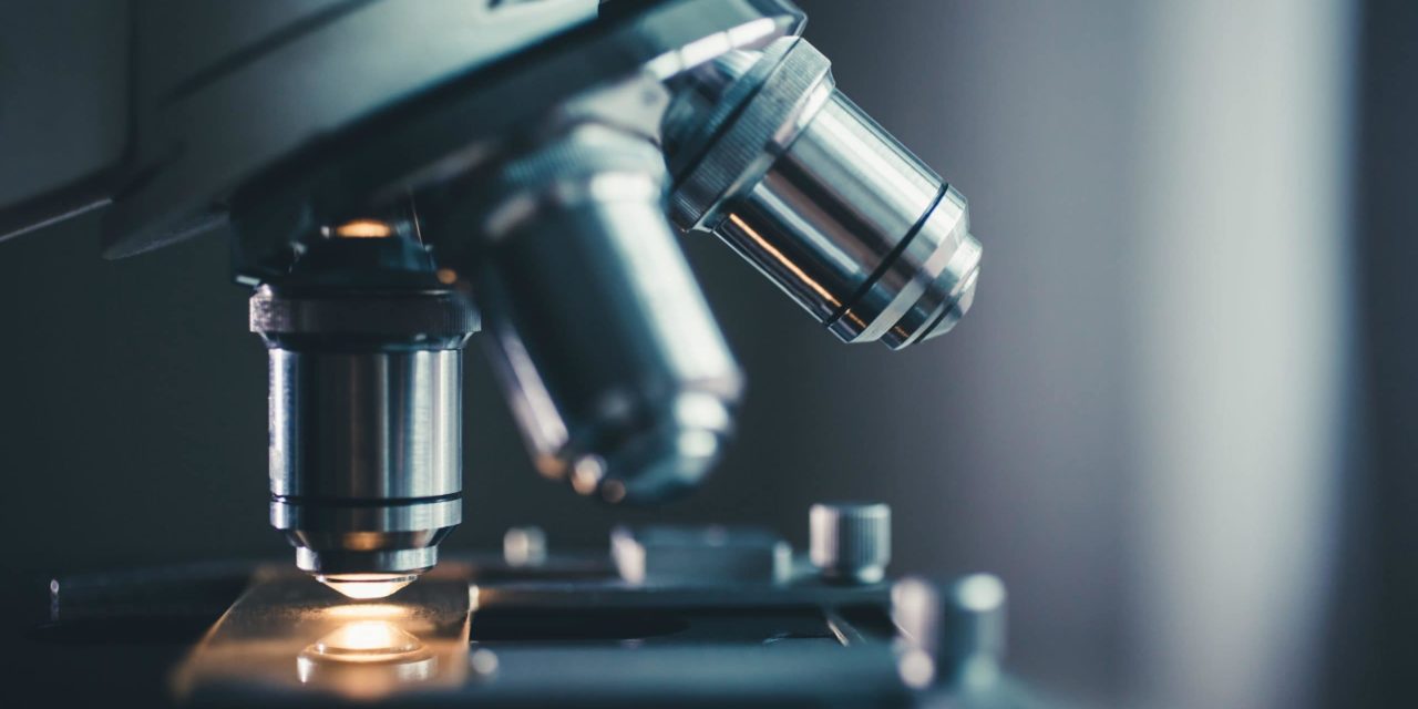 Do Your Own Research: Wie man einen Token analysiert – Teil 1