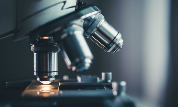 Do Your Own Research: Wie man einen Token analysiert – Teil 1