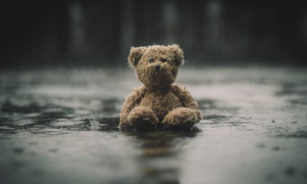 Bitcoin-Kurs (BTC): Gute Chancen auf ein neues Allzeithoch