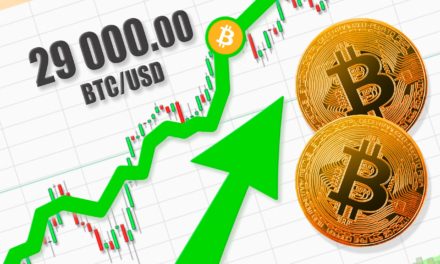 Allzeithoch: Bitcoin-Kurs (BTC) durbricht die 29.000 USD-Marke