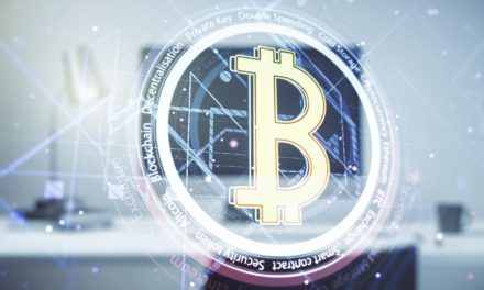 Do your own Research: Wie findet man gute Bitcoin-Daten?