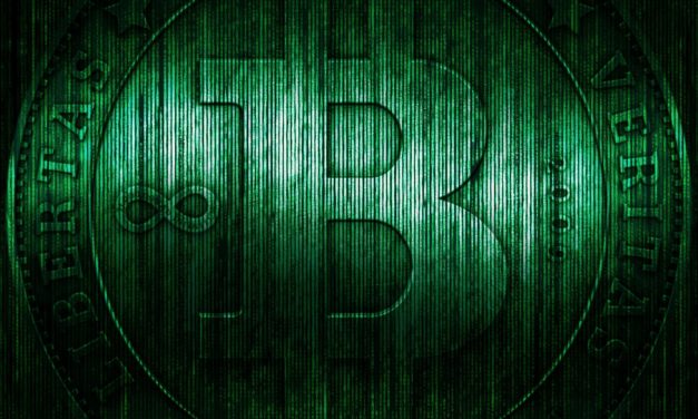 Rekordhoch: Bitcoin-Kurs erreicht 30.000 US-Dollar