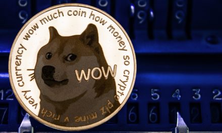 Elon Musk und ein Erotiksternchen heizen Dogecoin-Achterbahnfahrt an