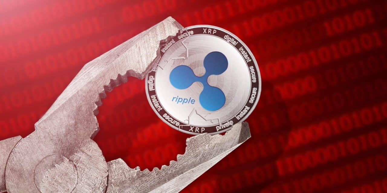 XRP im freien Fall: Eine Ripple-Schadensbilanz