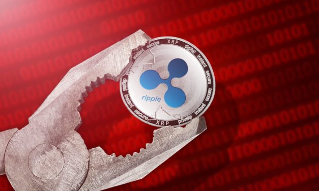XRP im freien Fall: Eine Ripple-Schadensbilanz