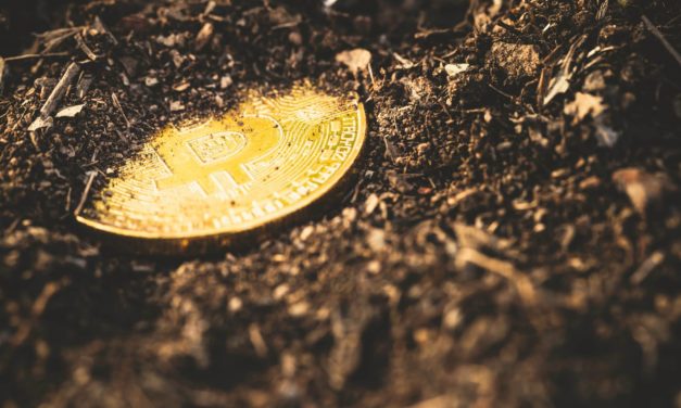Hodler verliert Bitcoin im Wert von 100.000 US-Dollar