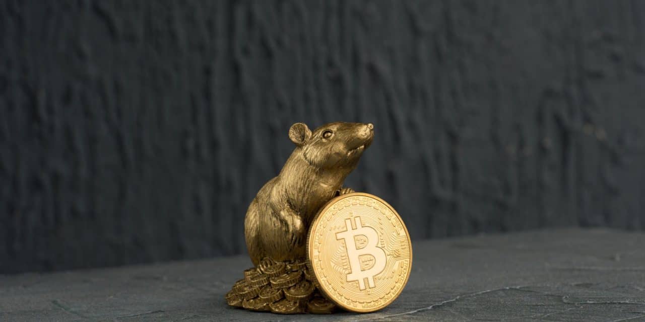 ElectroRAT: Trojanische Anwendung greift Krypto-Wallets an