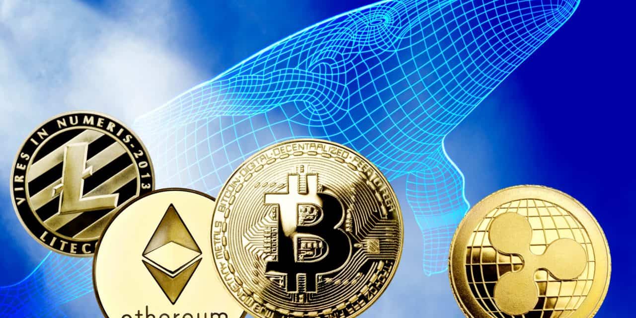 Über 300 Millionen USD: Krypto-Whale veröffentlicht sein Altcoin-Portfolio