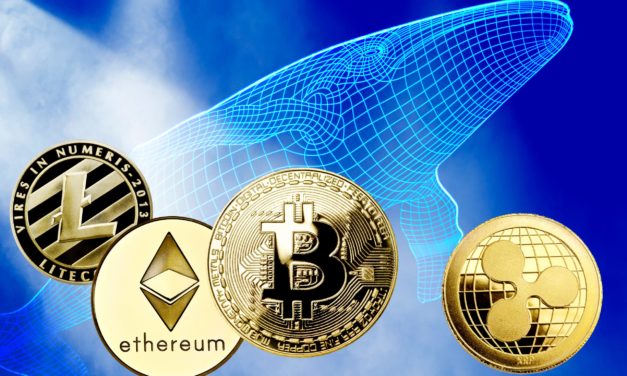 Über 300 Millionen USD: Krypto-Whale veröffentlicht sein Altcoin-Portfolio