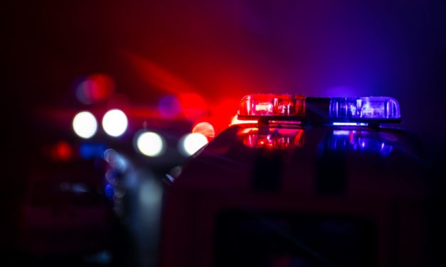 Polizei, FBI und Europol schalten Darknet-Handelsplatz DarkMarket ab