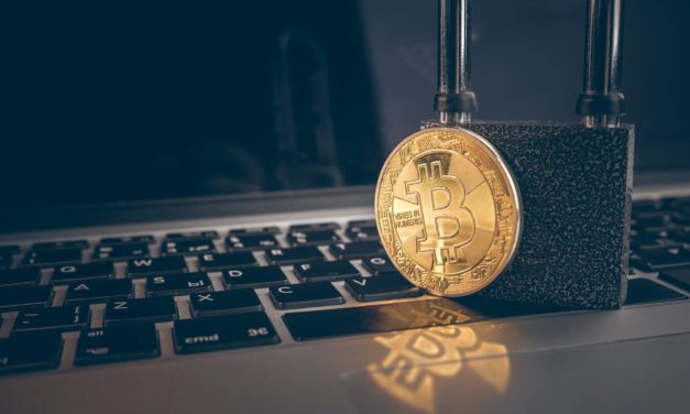 Hodler verliert Bitcoins im Wert von 220 Millionen US-Dollar