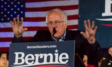 NFT: Bernie Sanders-Memes werden verewigt und Enjin setzt auf Fashion