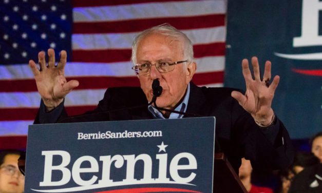 NFT: Bernie Sanders-Memes werden verewigt und Enjin setzt auf Fashion