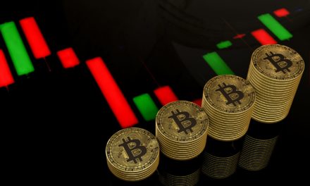 Bitcoin Rallye: Wie man mit Trading Bots Investitionen verdreifachen kann