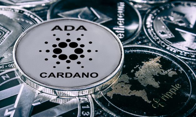 20 Prozent Wachstum: Cardano (ADA) stellt alle anderen in den Schatten