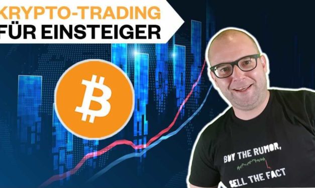 Robert Rother: Der Bitcoin-Trading-Kurs für Einsteiger