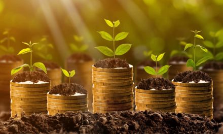 Mit dieser Methode kann man seine Bitcoin ganz einfach vermehren