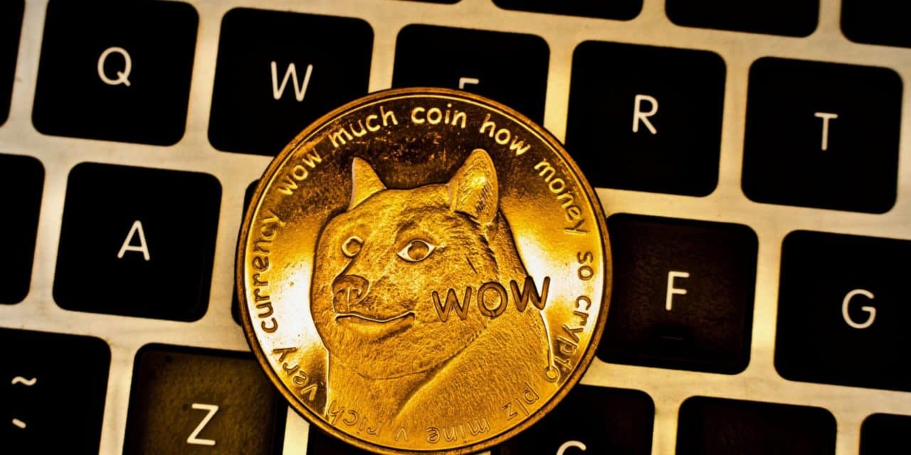 Dogecoin: Ein einzelnes Wallet hält knapp ein Drittel der Kryptowährung