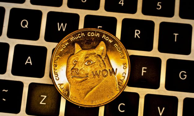Dogecoin: Ein einzelnes Wallet hält knapp ein Drittel der Kryptowährung