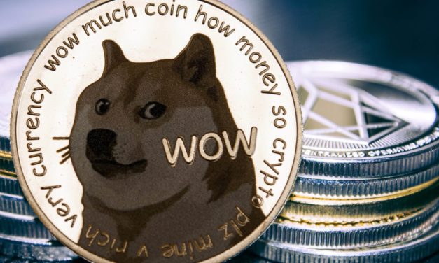 Dogecoin per Code wertlos? Diese Zahl klammern DOGE-Anleger aus
