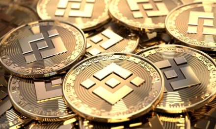 Starkes Wachstum: Die Top 5 Projekte der Binance Smart Chain (BSC)