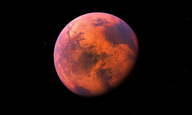 Mond oder doch gleich Mars? Elon Musk befeuert Bitcoin-Hype