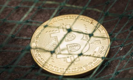 Regulierungs-ECHO: Bitcoin-Bullrun fällt auf staatliche Skepsis