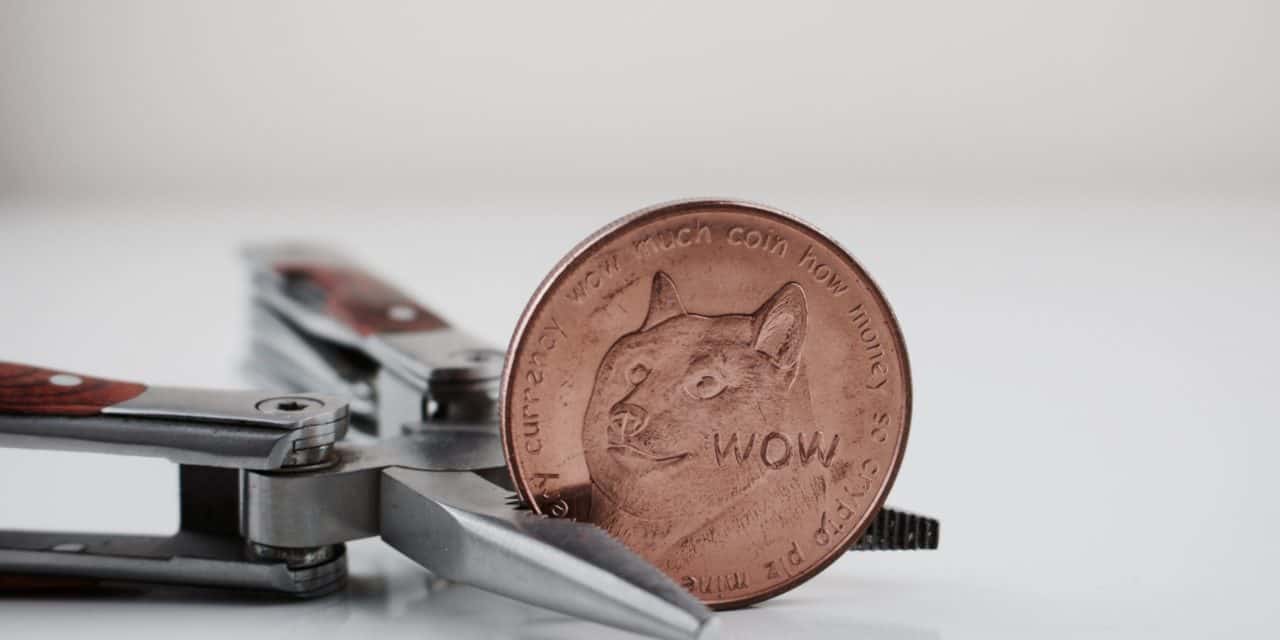 Elon Musk auf Waljagd: Dogecoin (DOGE) fällt mit der Top 20