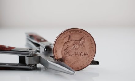 Elon Musk auf Waljagd: Dogecoin (DOGE) fällt mit der Top 20