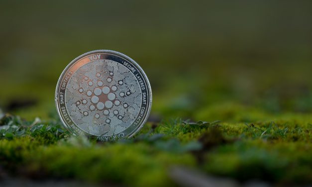 Der Countdown läuft: Das Cardano (ADA) Goguen Mainnet rückt näher