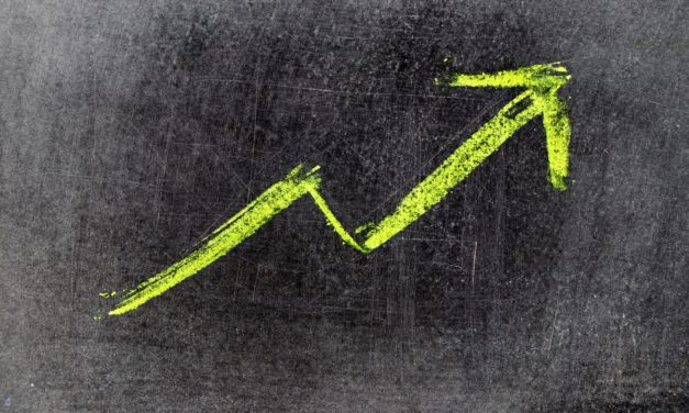 500 Prozent Plus: Binance Coin (BNB) überholt Cardano und Polkadot