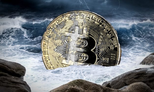 Crash-Gefahr? Bitcoin-Wal bewegt 100 BTC zum ersten Mal seit 2010