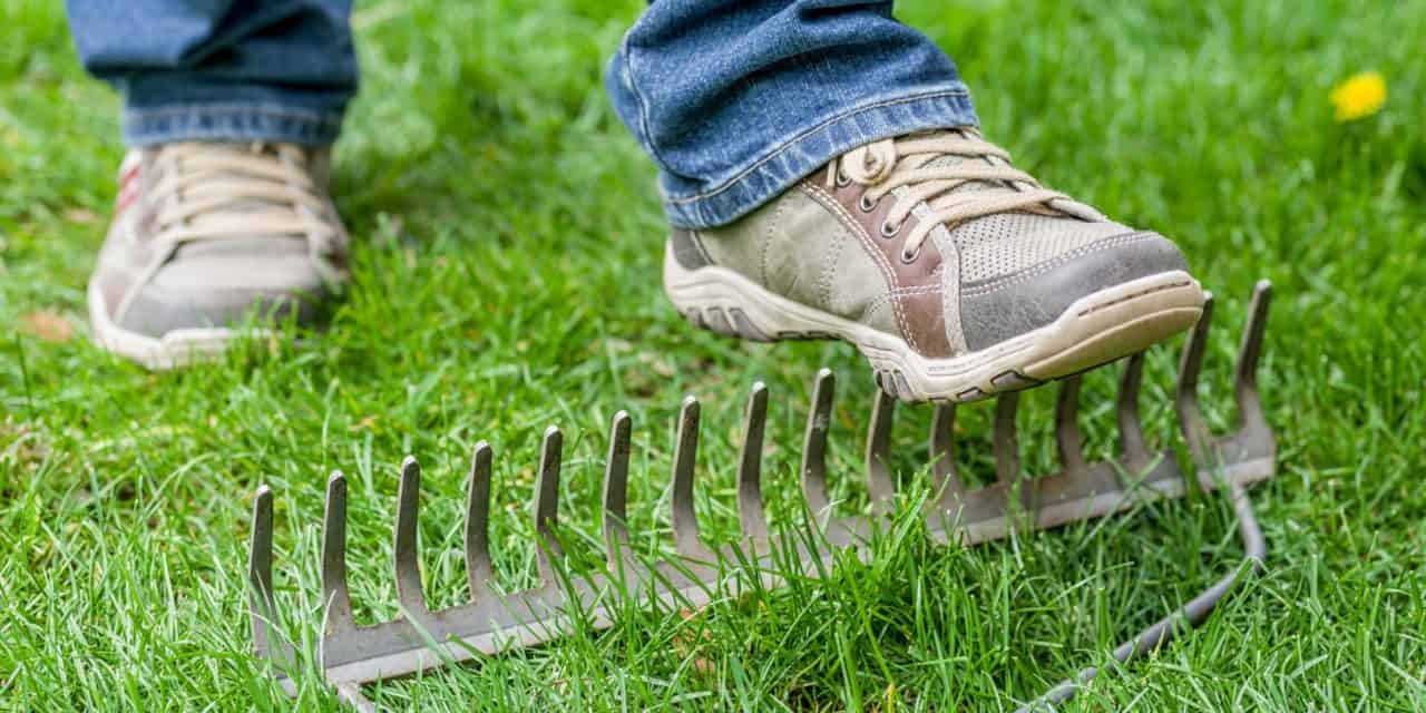 Craig Wright erhält Retourkutsche für Forderung von 80.000 Bitcoin